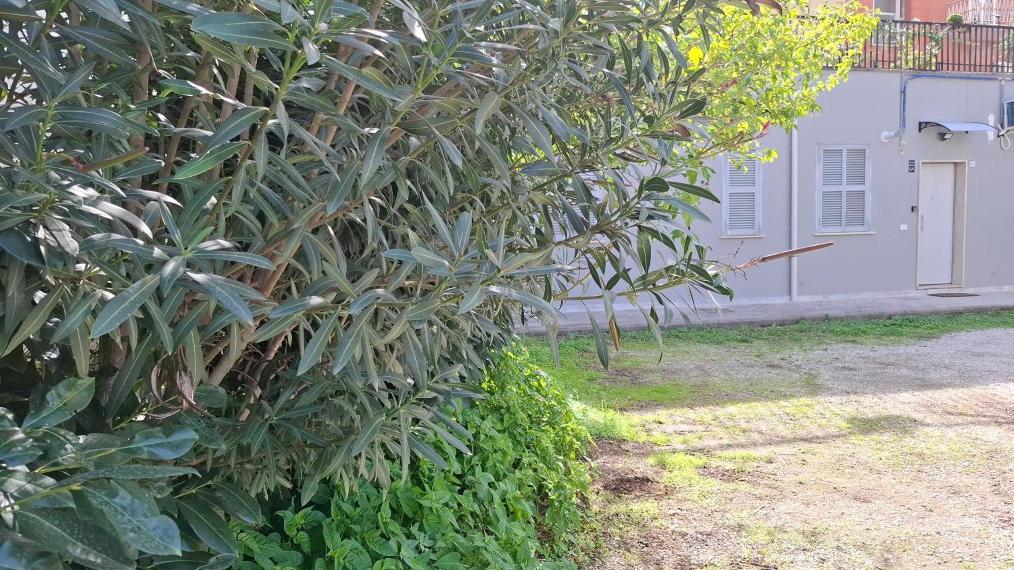 Altavilla Apartments Roma Luaran gambar